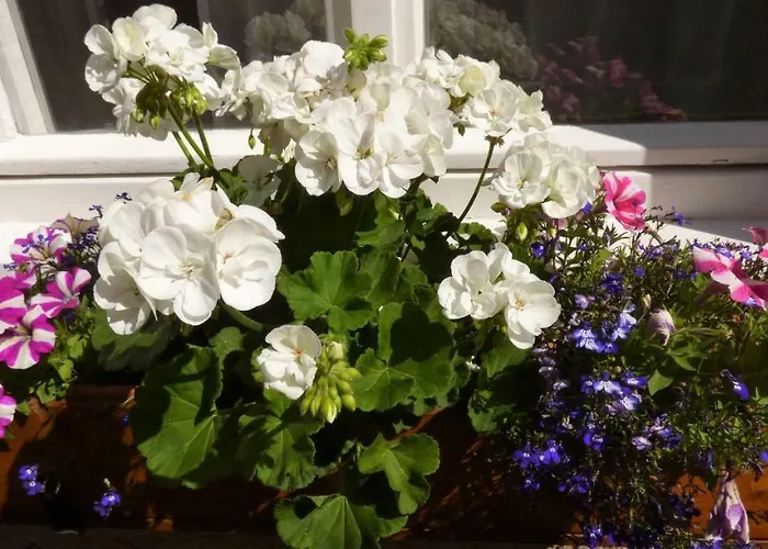 Διαμέρισμα Casa Füssen