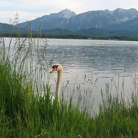 カーサ アパート フュッセン