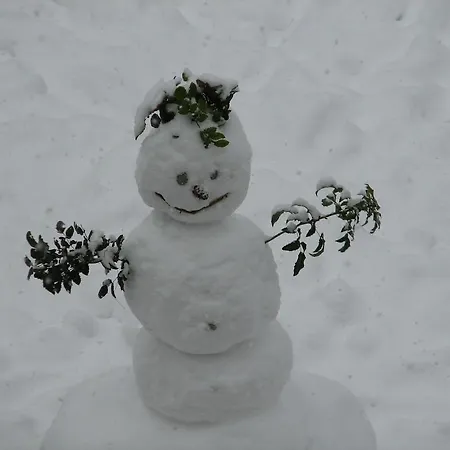 カーサ フュッセン